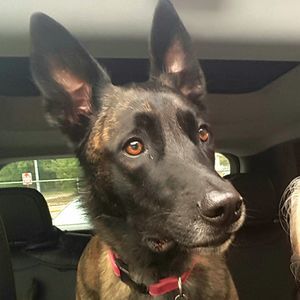 Meet your Posher, Melissa